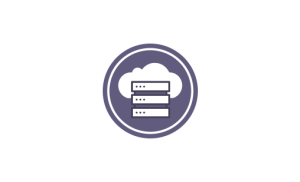CESP VM Virtual TDM Engine
