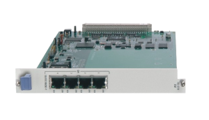 HS-ETH/SW  (Megaplex-2100/2104)